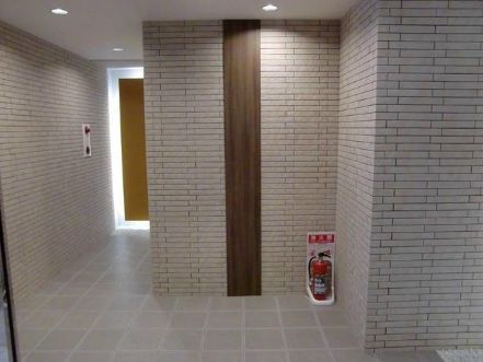 セ・マニフィーク月島 物件写真 建物写真5