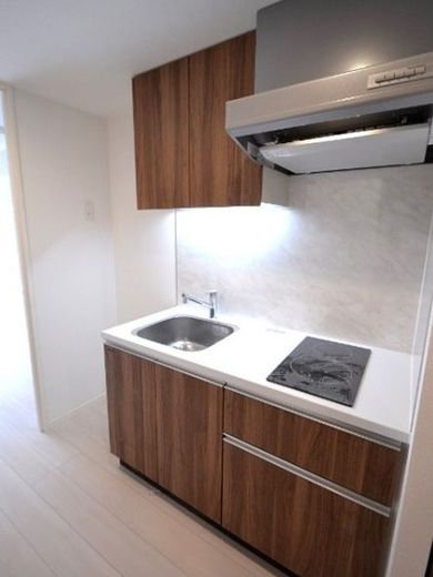 カーサスプレンディッド新宿御苑 物件写真 建物写真15