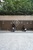 ウエストパークタワー池袋 バイク置場 写真