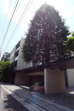 代々木パークハウスプライムヒルズ 物件写真 建物写真7
