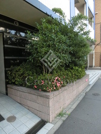 HF門前仲町レジデンス 外観 物件画像6