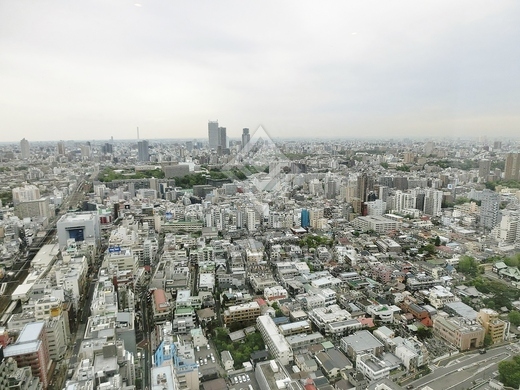 ラ・トゥール新宿ガーデン 高級賃貸