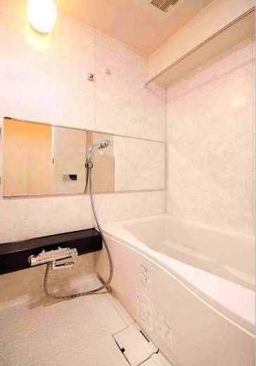 プレシス豊洲 物件写真 建物写真15