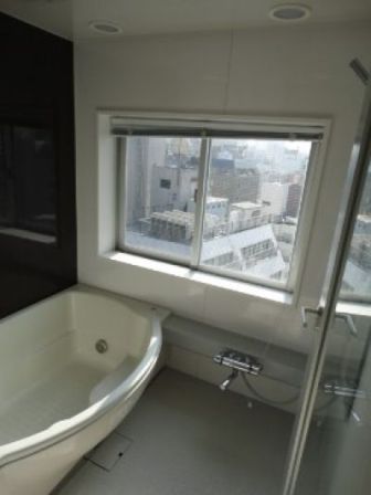ベルファース新富町 物件写真 建物写真29