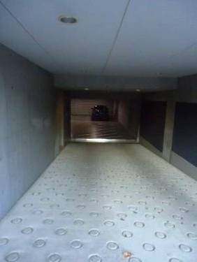 フレスカ松濤 物件写真 建物写真9