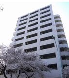 カスタリア中野 物件写真 建物写真1