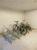 スプランディッド品川 物件写真 建物写真27