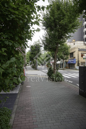 ウィルローズ日本橋浜町 外観 物件画像10