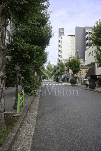 ウィルローズ日本橋浜町 外観 物件画像11
