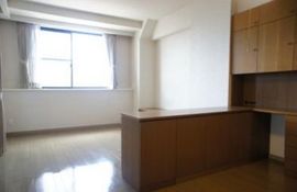 ディアパーク市ヶ谷南町 物件写真 建物写真11