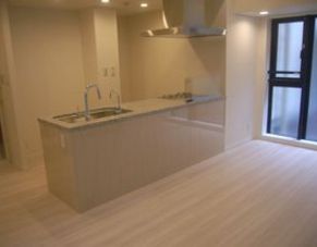 アトラス南麻布 物件写真 建物写真12