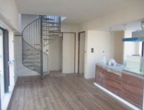 アトラス南麻布 物件写真 建物写真13
