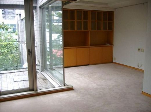西麻布グランドヒルズ 物件写真 建物写真10