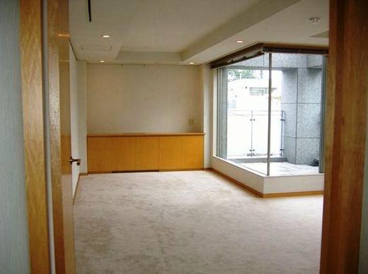 西麻布グランドヒルズ 物件写真 建物写真11