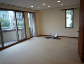 アルファエイト南青山 物件写真 建物写真10