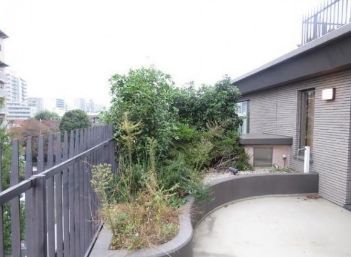 ルクラス代々木公園 物件写真 建物写真26