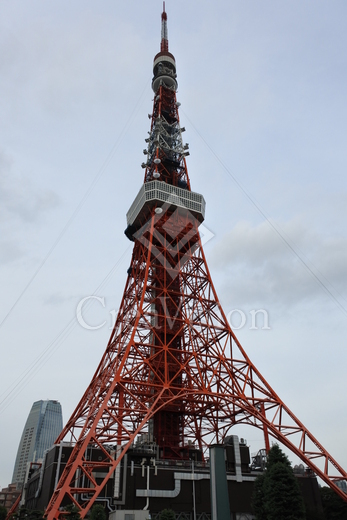 ベルファース東麻布 東京タワー