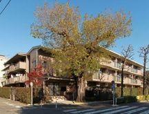 駒場レジデンス 物件写真 建物写真1