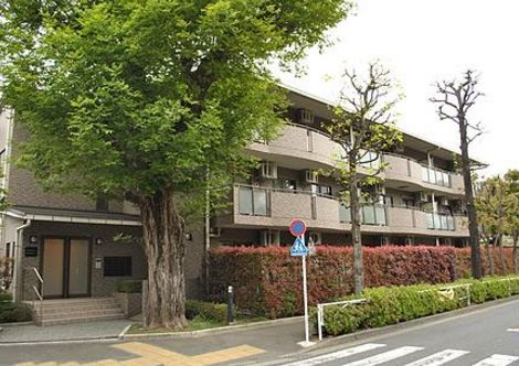 駒場レジデンス 物件写真 建物写真2