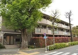 駒場レジデンス 物件写真 建物写真2