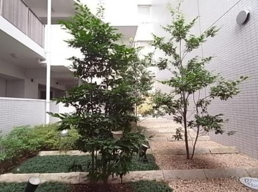 ブリリア品川中延 物件写真 建物写真28