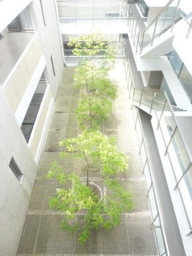 イトーピア自由が丘IDEA 物件写真 建物写真9