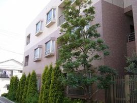 ライオンズステージ目黒本町 物件写真 建物写真4