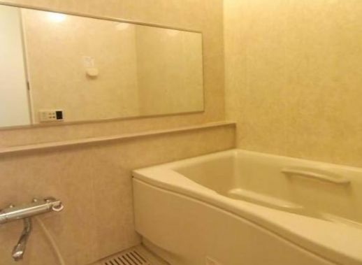 イトーピア両国ステーションコート 物件写真 建物写真22