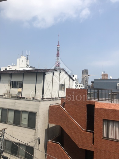 ラフォンテ麻布十番 眺望