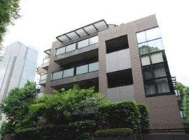 東急ドエルプレステージ赤坂氷川町 物件写真 建物写真3