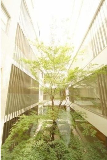神宮前五丁目ブランシェ 物件写真 建物写真12