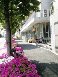 コムス上原 物件写真 建物写真7
