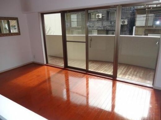 Tフラッツ南麻布 物件写真 建物写真11