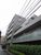 フレアコート駒場 物件写真 建物写真5