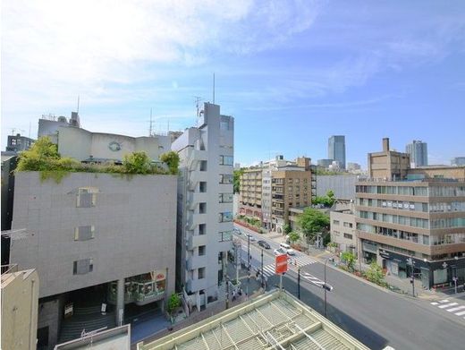 ダイアパレス麻布十番 物件写真 建物写真26