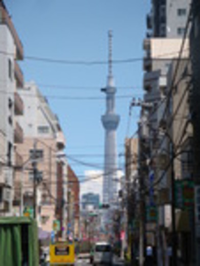 ハイリーフ上野 眺望