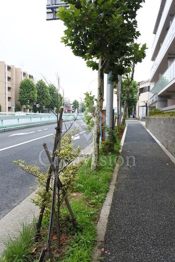 エストレリータ新宿落合 外観 物件画像9