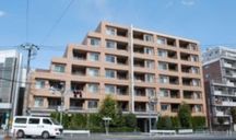 アデニウム学芸大学 外観