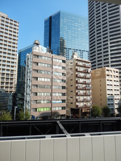 ザ・パークハウス西新宿タワー60 眺望