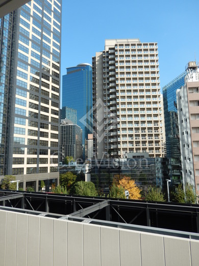 ザ・パークハウス西新宿タワー60 眺望　写真