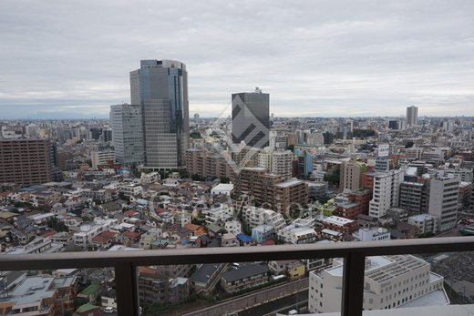 ザ・パークハウス西新宿タワー60 眺望