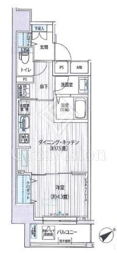 ワイズ柳橋 1LDK　間取り