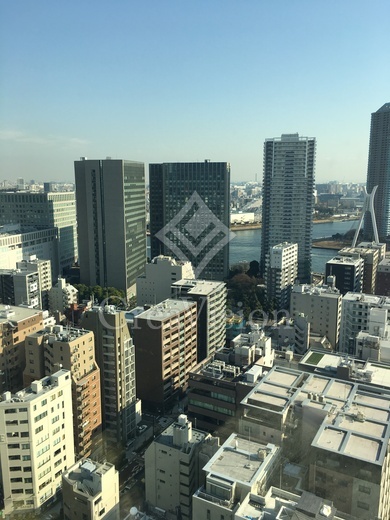 ブリリアザ・タワー東京八重洲アベニュー 眺望