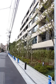 ザ・パークハウスグラン南青山高樹町 外観 物件画像6