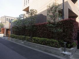 グレディール赤坂 写真