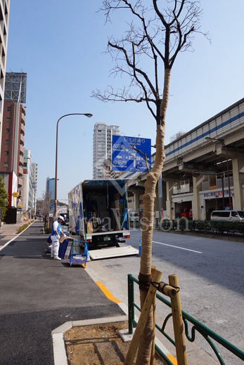 プレシス東麻布 外観 物件画像9
