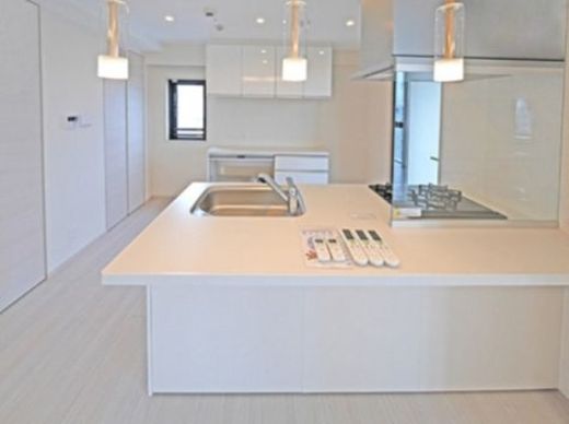 エルシノア住吉 物件写真 建物写真10