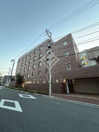 ZEDOAN HIROO 画像