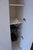 パークアクシス南青山七丁目 1K 部屋別画像