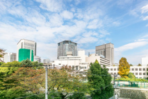 サンハイム永田町 物件写真 建物写真21